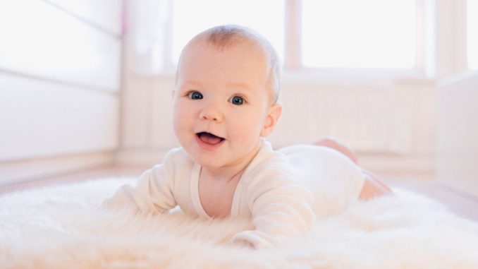bebe