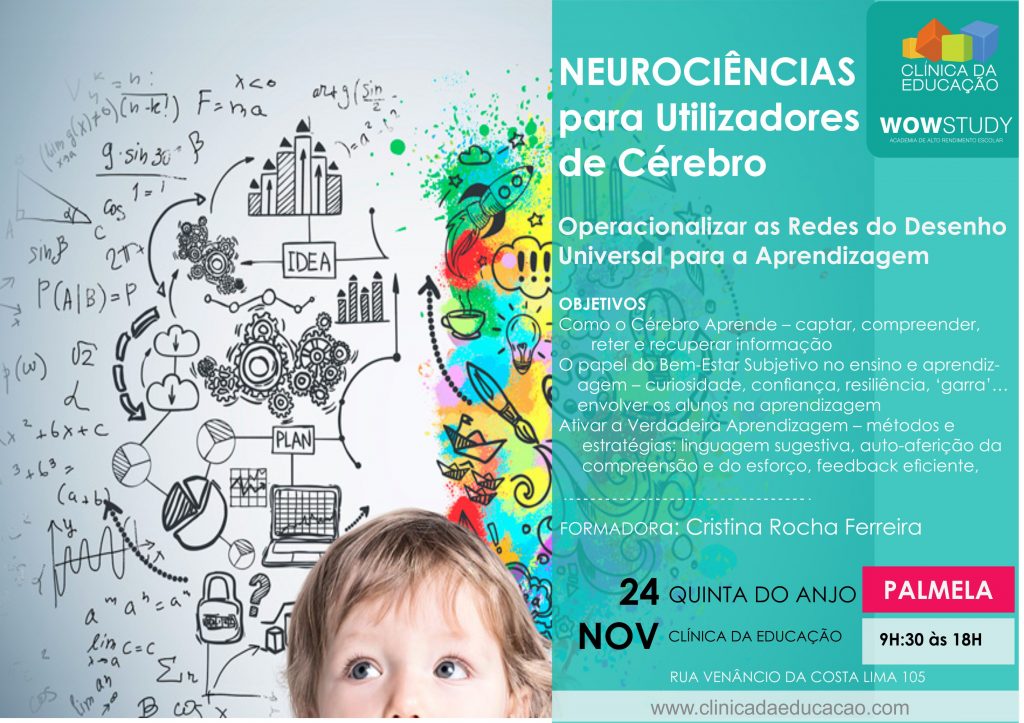 Neurociências para Utilizadores de Cérebro – Operacionalizar as Redes do Desenho Universal para a Aprendizagem